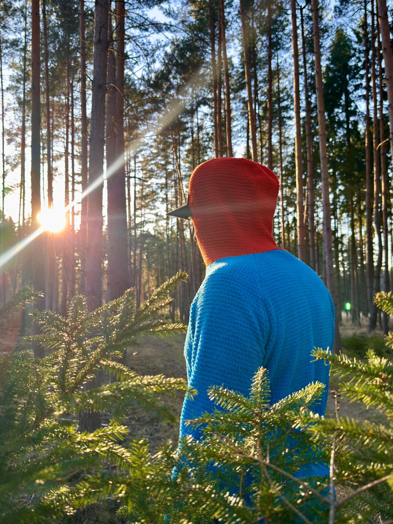 Back view of D J L.O.P.Y. Alpha 120 hoodie in a forest